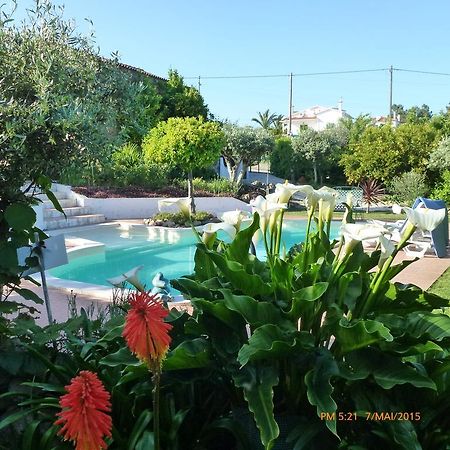 Casal Da Corticada Guest House Sertã Eksteriør bilde