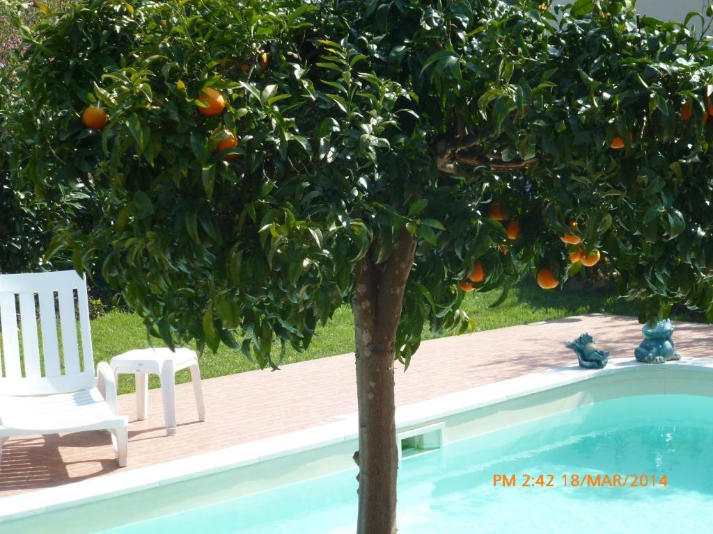 Casal Da Corticada Guest House Sertã Eksteriør bilde